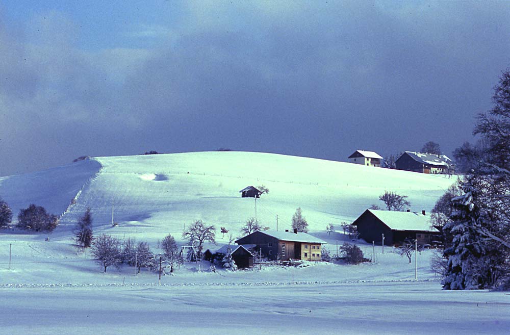Winter im Allgäu / Missen Wilhams