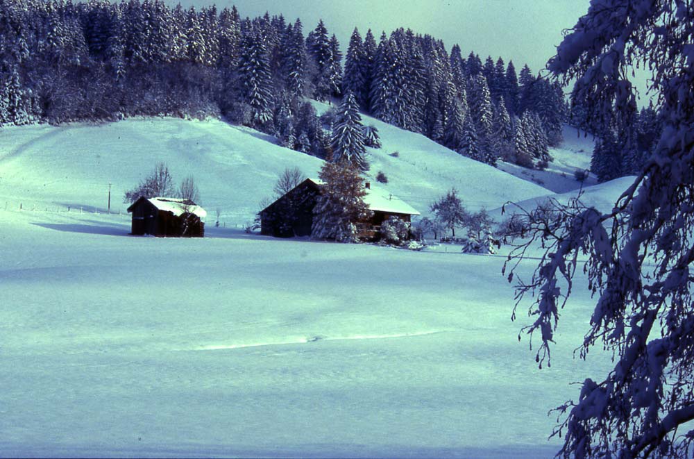 Winter im Allgäu / bei Sibratshofen