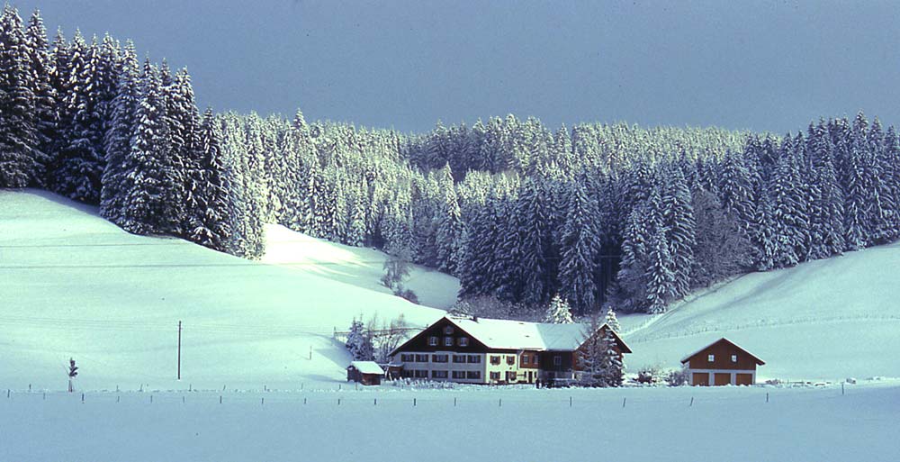 Winter im Allgäu / bei Sibratshofen