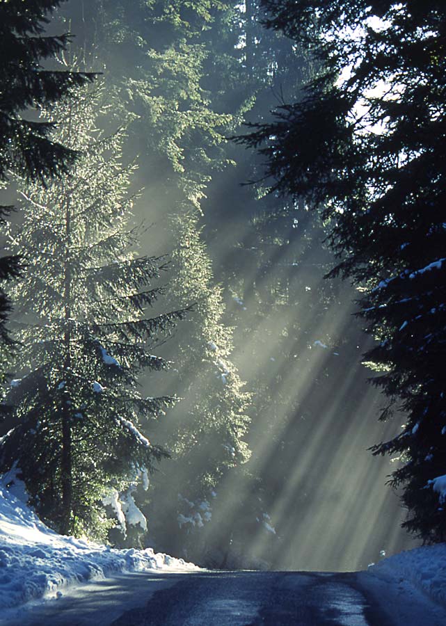 Winter im Allgäu / Licht Impression bei 1° Tauwetter