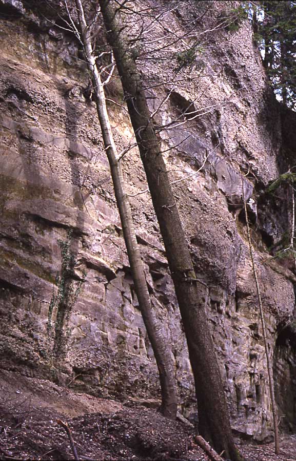 Enschenstein0