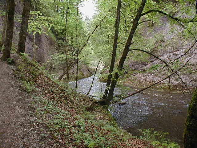 36-enge-Schlucht