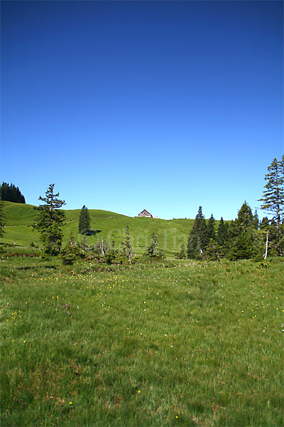 Alpe-Mittelberg