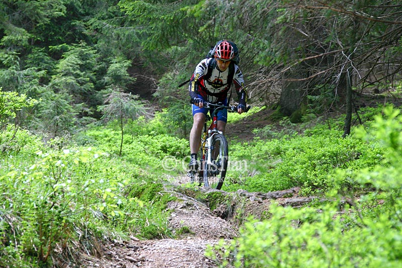 Mountainbiker-1