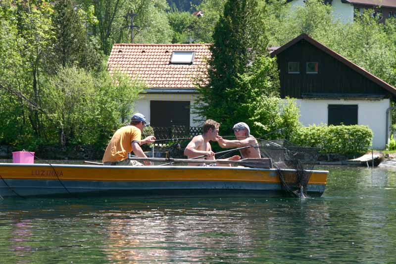 alpseebootfahrt300 008