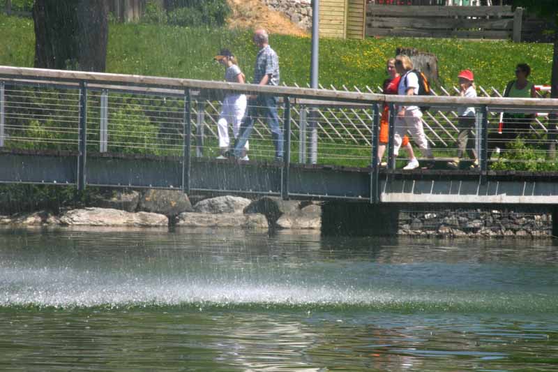 alpseebootfahrt300 115
