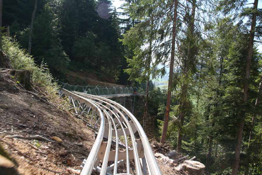 Alpsee Coaster - Brücke