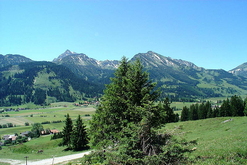 tannheim1