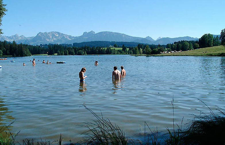 schwaltenweiher3