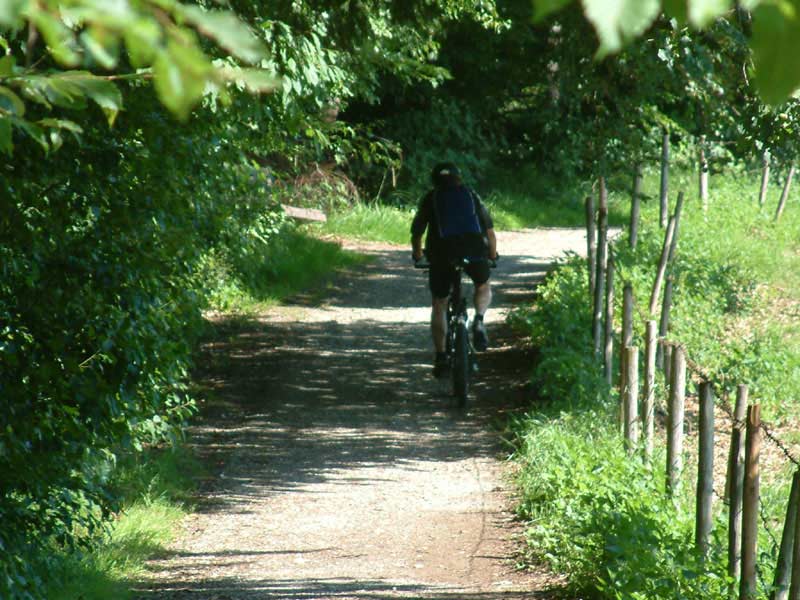 spaziergang3
