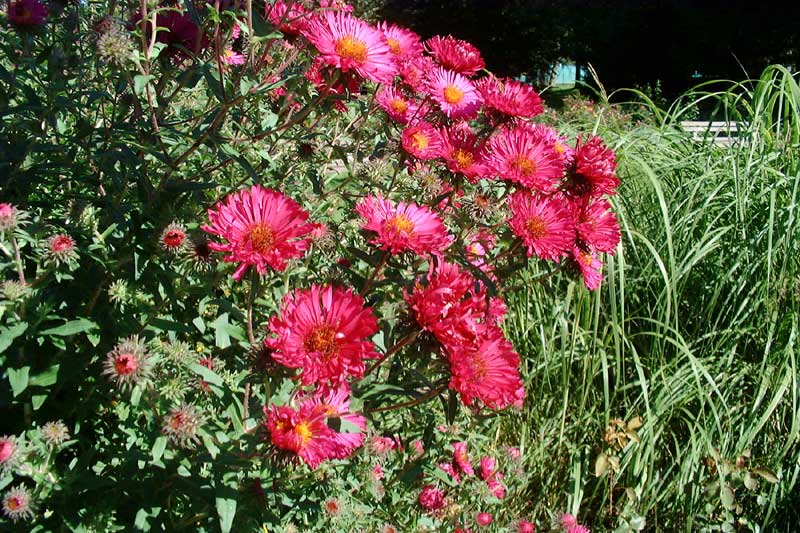 bild18
