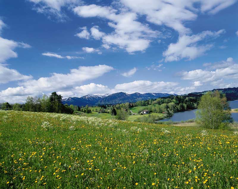Niedersonthofner See im Frühling