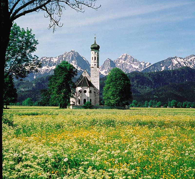 St.Coloman Schwangau im Löwenzahnfrühling