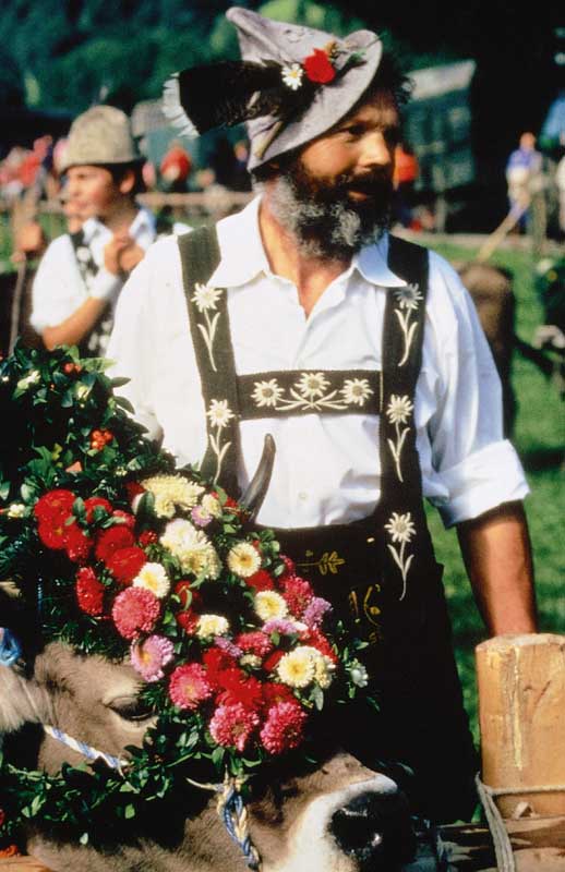 Viehscheid im Allgäu