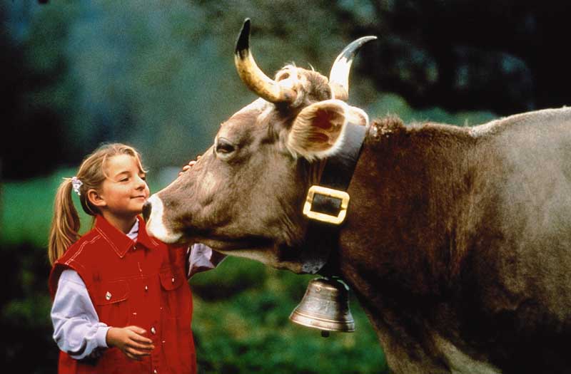 Urlaub auf einem Allgäuer Bauernhof