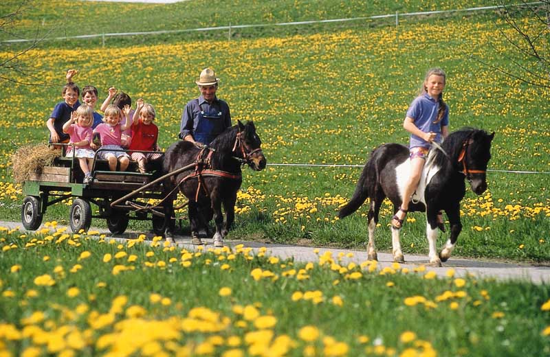 Ausflug im Frühling