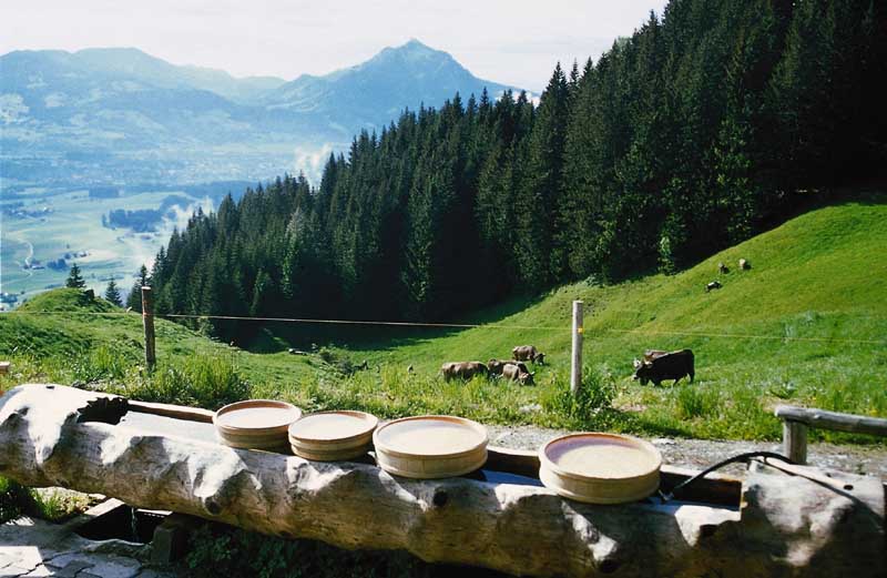 Blick aus dem Gunzesrieder Tal auf den Grünten