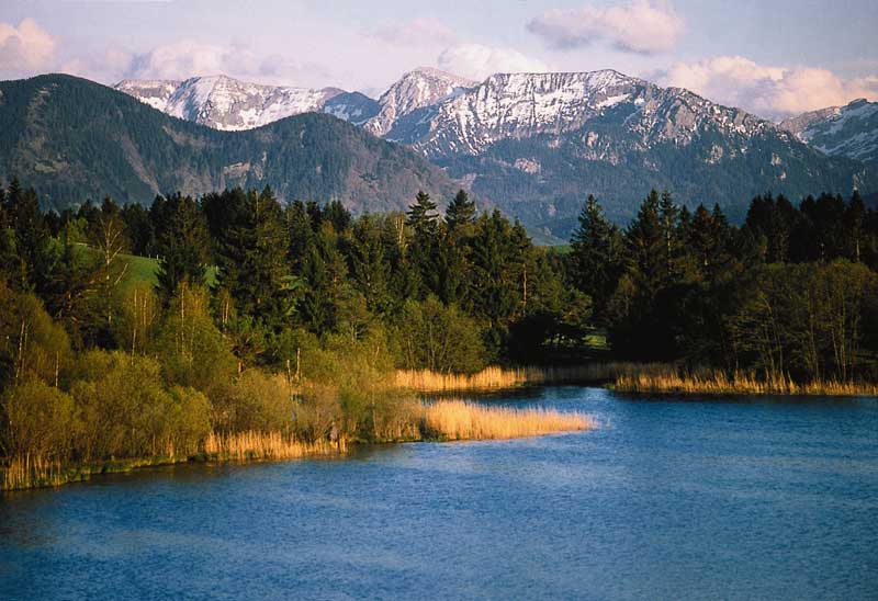 Schwalten Weiher
