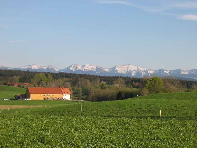 Fruehling Traumhafter Blick zum Hochgrat