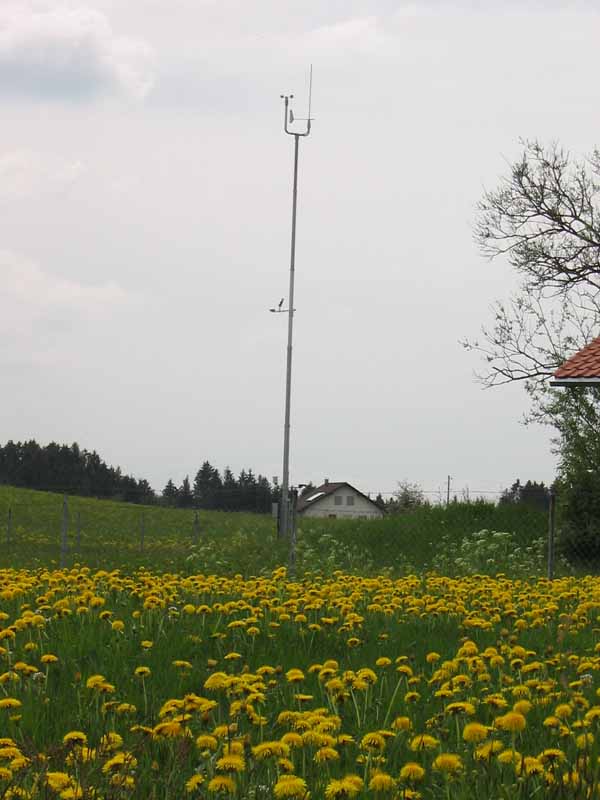 Fruehling Wetterstation - Blumen - 010