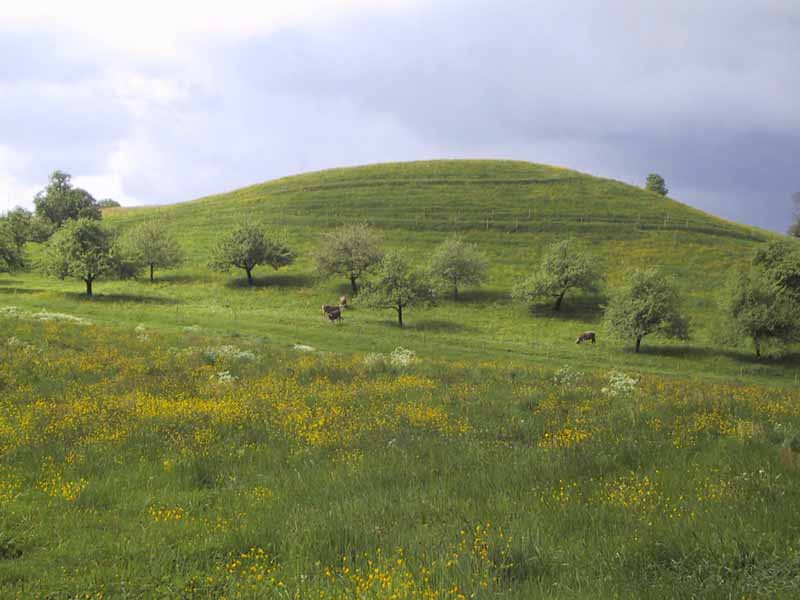 Fruehling herrlich gruenes Allgaeu