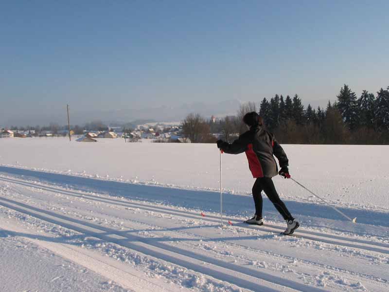 Winter Eglofs -Aschen mit Loipe