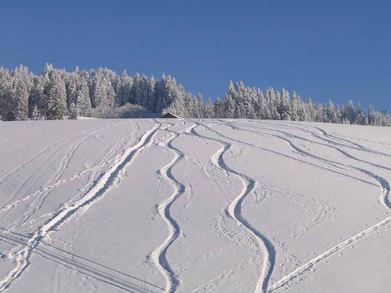 Winter Januar 2005 052