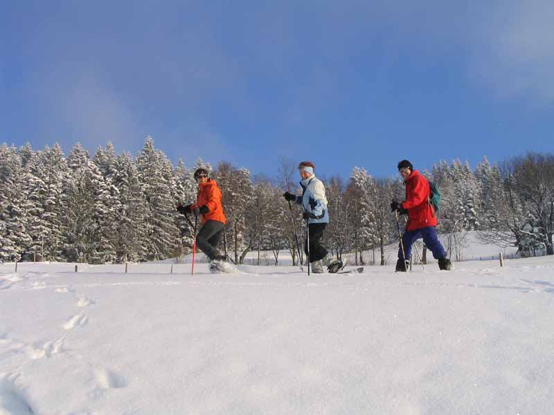 Winter Januar 2005 070