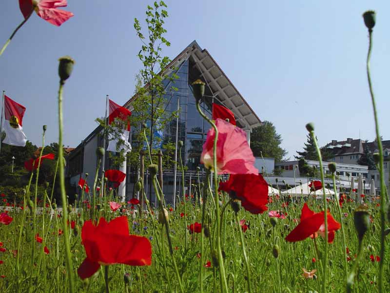 Kurhaus_mit_Mohnblumen