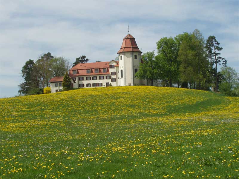 Salvatorianerkloster Gottesberg - Salvatorianerkloster - Im Mittelpunkt des Festes (Blutritt) steht die Verehrung der Heilig-Blut-Reliquie vom Gottesberg.