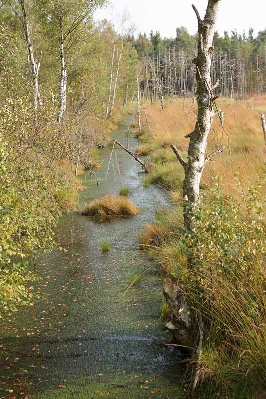 Entwässerung Wurzacher Ried