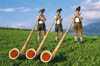 Alphorn