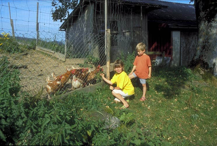 Img0080