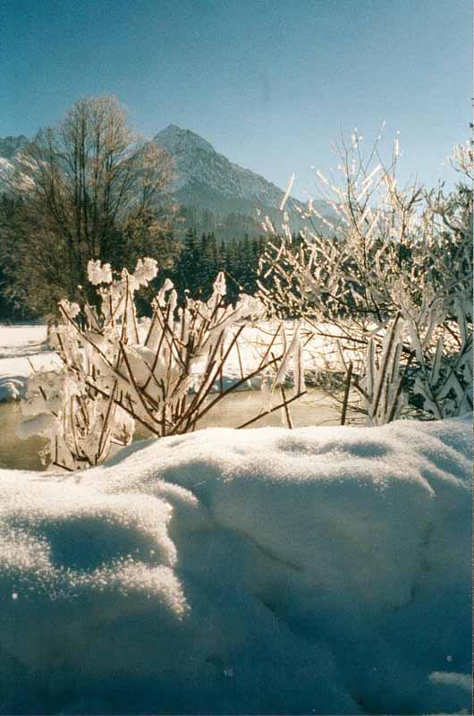 winterlandschaft