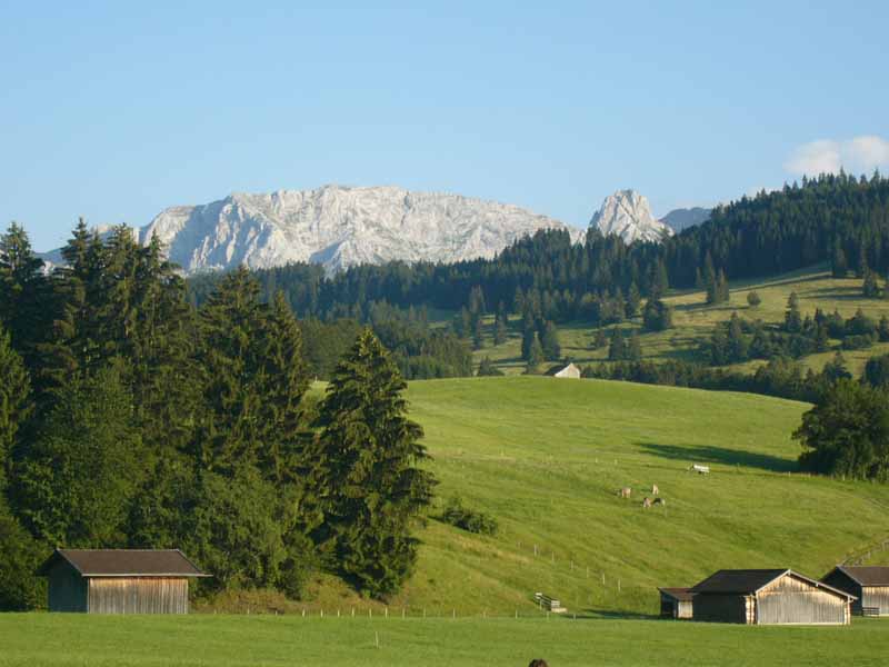 Blick auf Hochplatte von Buching