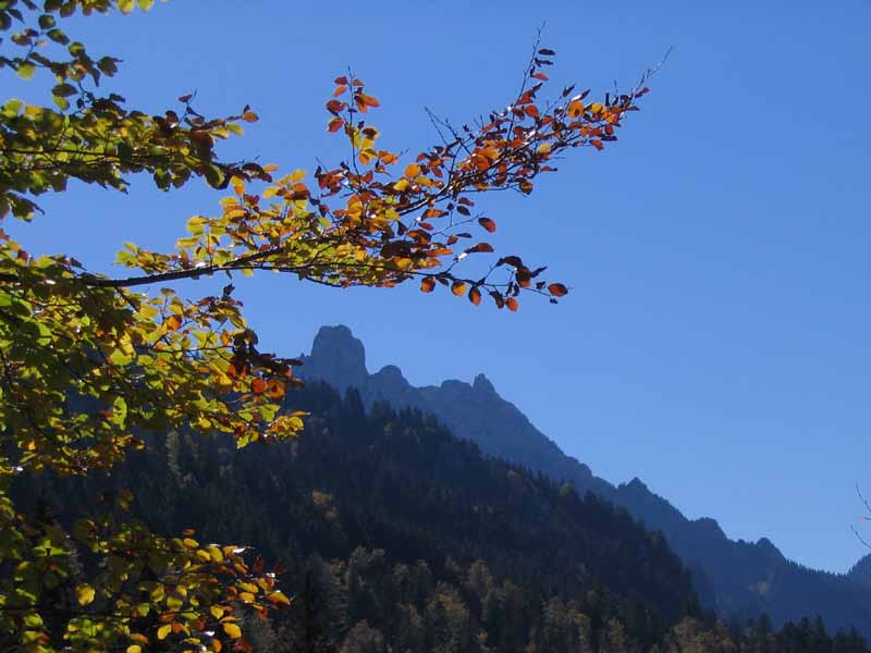 Herbst im Kenzengebiet