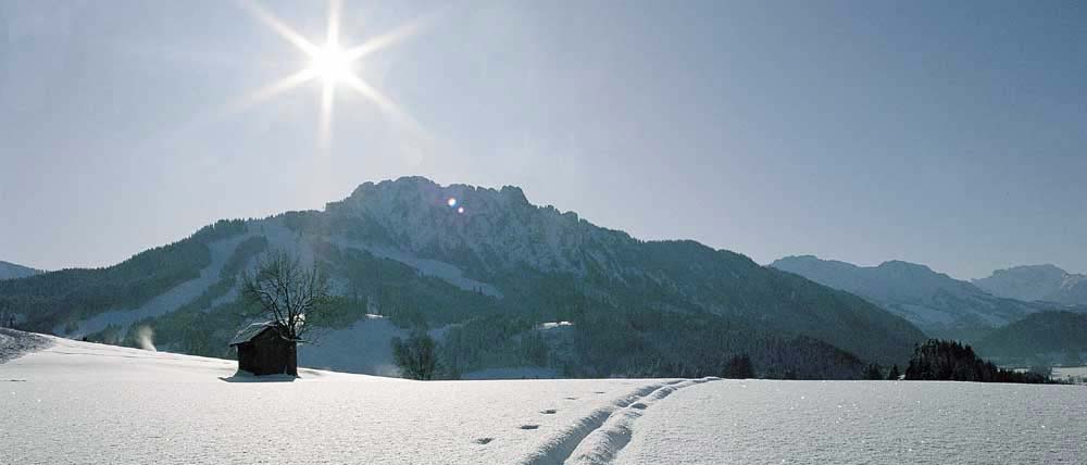 Winter_4