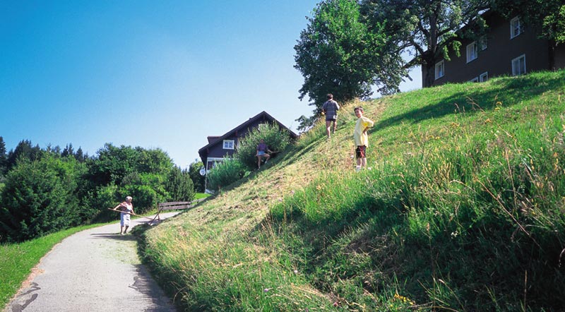 Sommer_Landwirtschaft