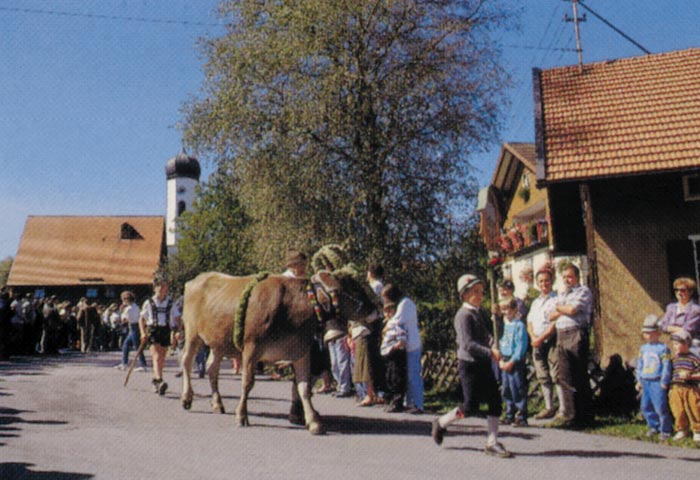 Viehscheid_Meierhoefen