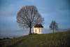 Kapelle_am_Bodensee