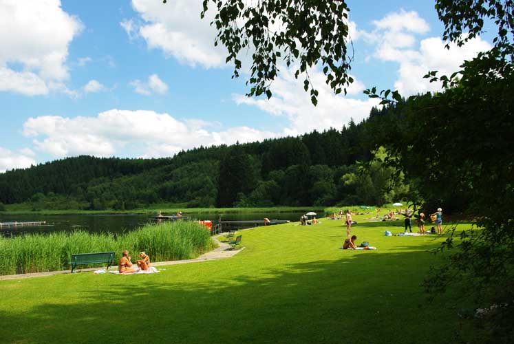 Ettwieser Weiher - Sommer