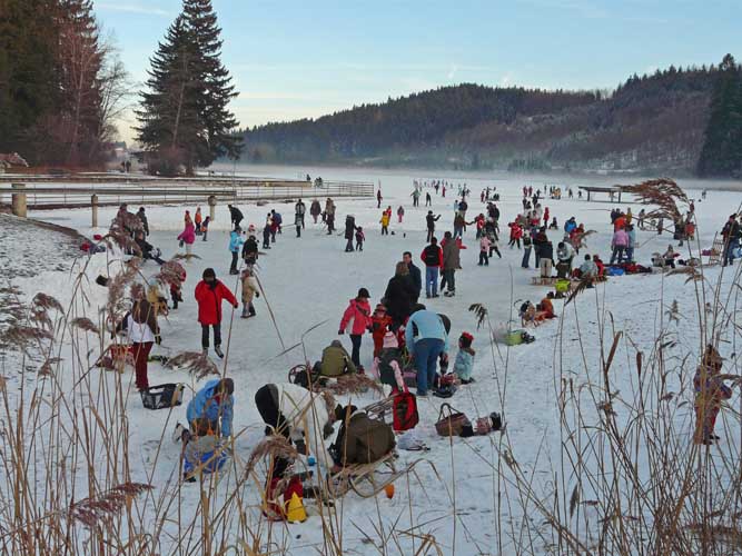 Ettwieser Weiher - Winter