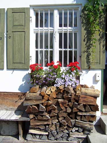 Heimatmuseum im Hartmannhaus -  Fenster