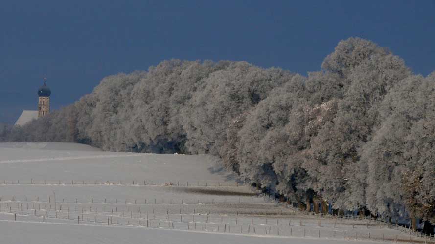 Lindenallee - Winter