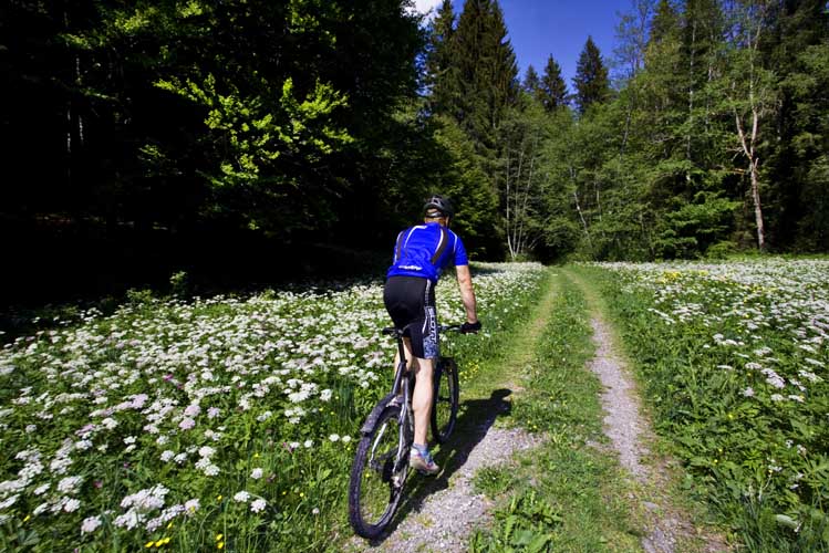 Radler rund um Marktoberdorf