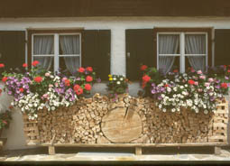 Blumenfenster