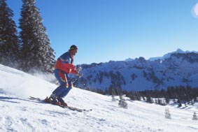 winter_Grasgehrenski