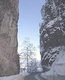 winter_Hirschsprung