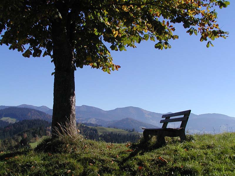 Bank vor Hochgrat