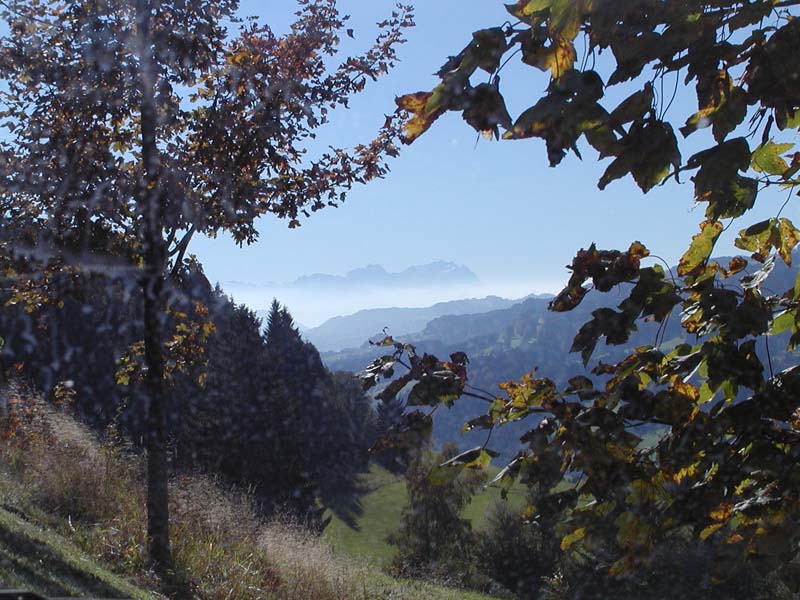 Saentis Herbstlaub